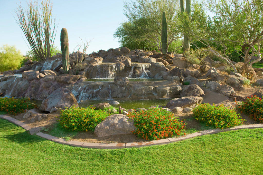 Plants and a rock waterfall as part of commercial landscaping in Carlsbad, NM.
